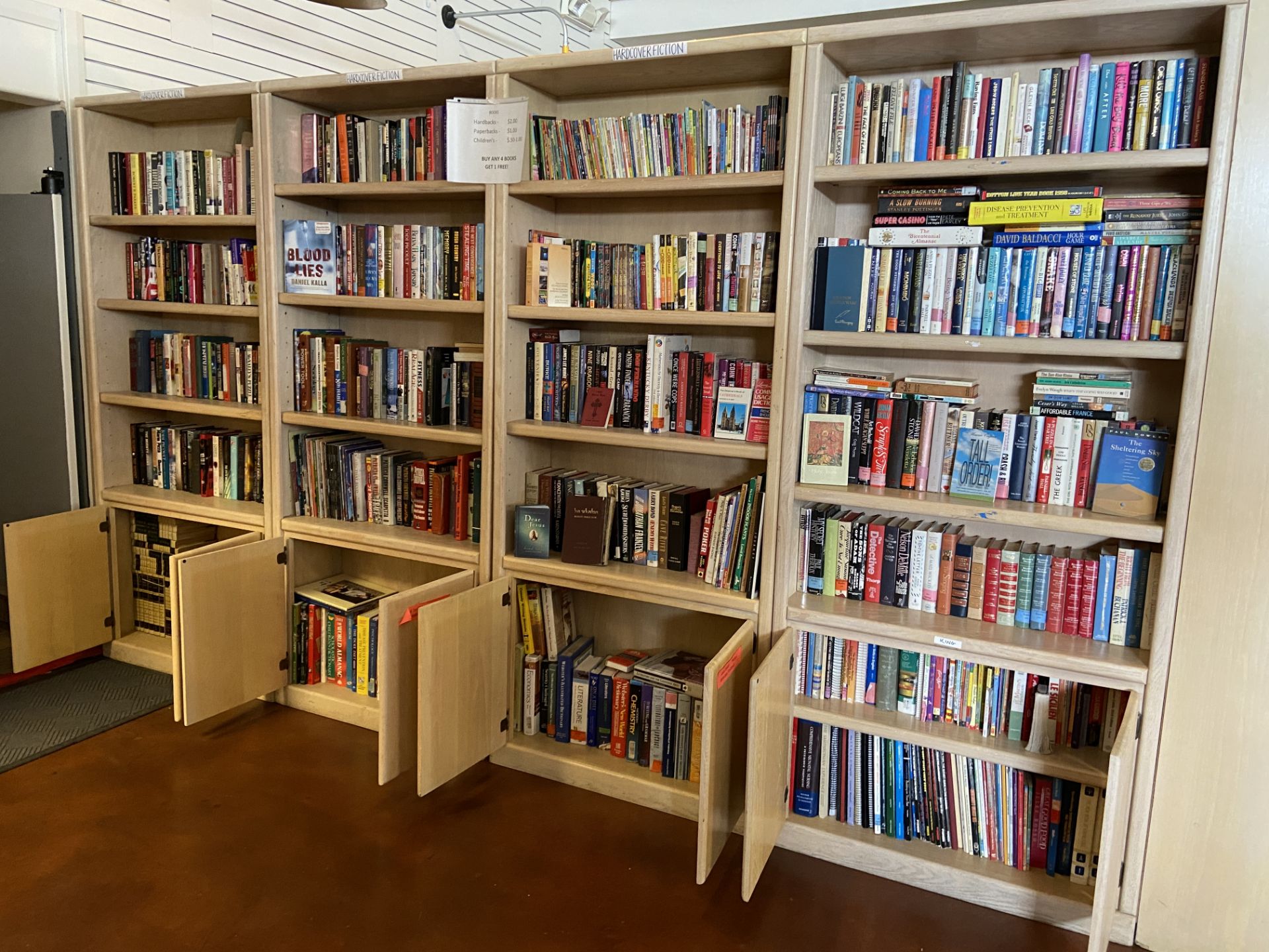 Lot of Books, four large shelves worth