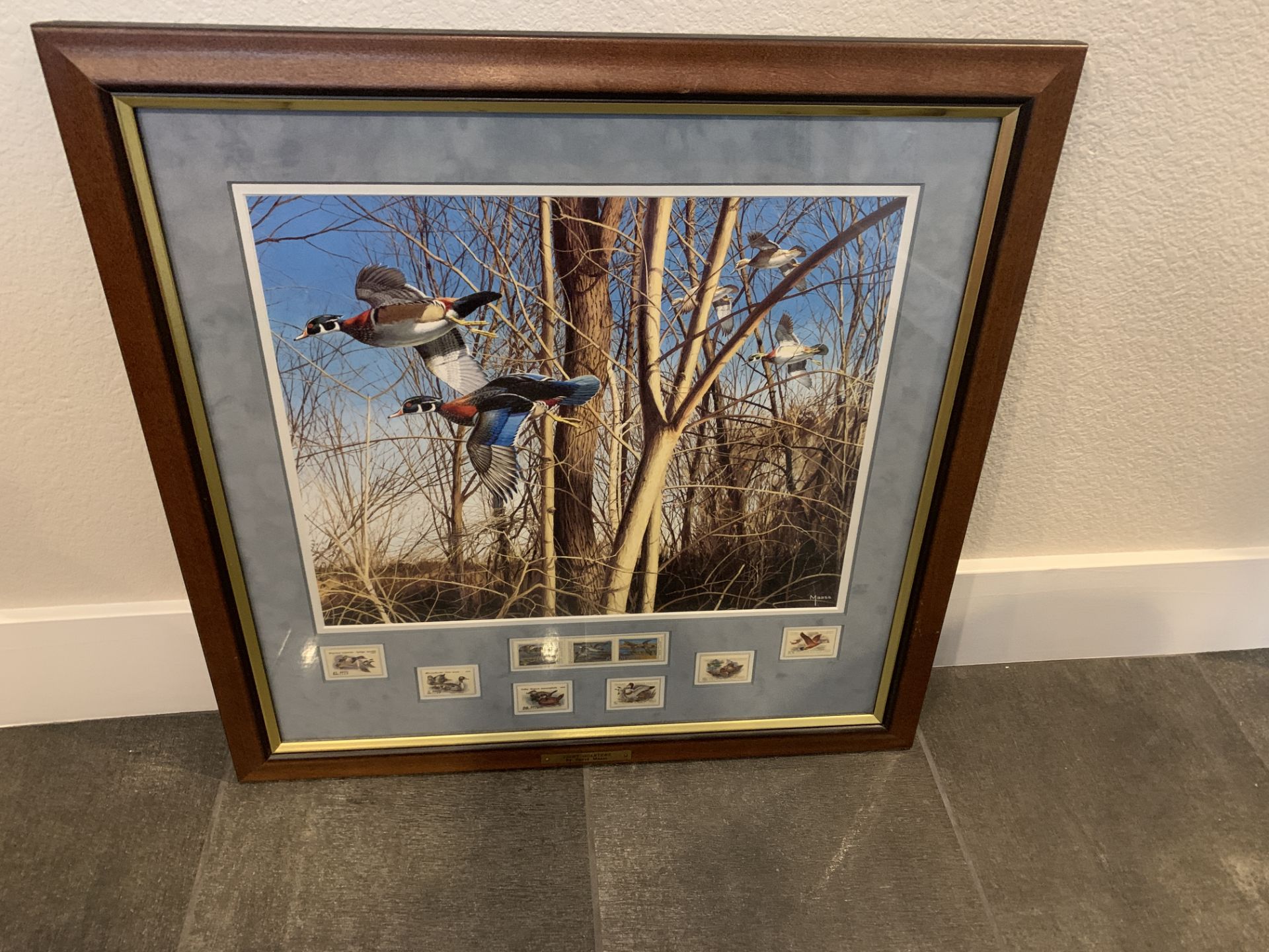 Wild Wings David Maass Tight Quarters Postal Comm Ducks Framed Print W/ Stamps