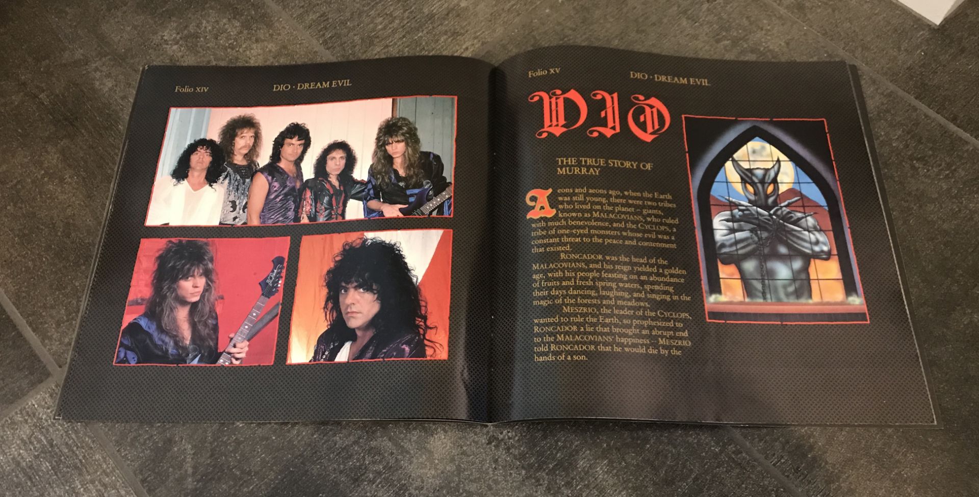 DIO DREAM EVIL WORLD TOUR PROGRAM - Image 4 of 5