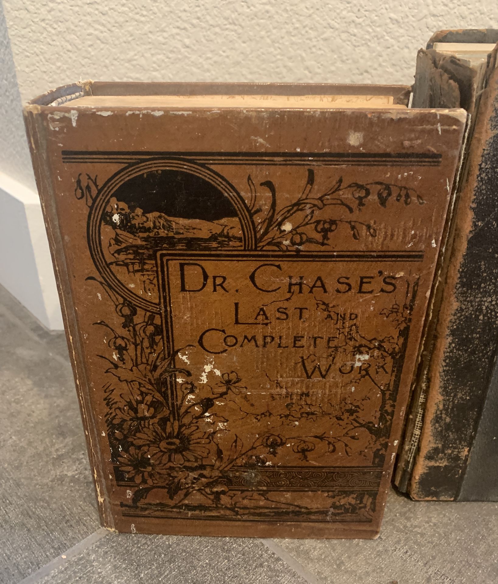 VERY OLD BOOKS VITALOGY THE ENCYCLOPEDIA OF HEALTH 1917 (PEARL JAM ) + DR CHASES COMPLETE WORKS 1905 - Image 2 of 6