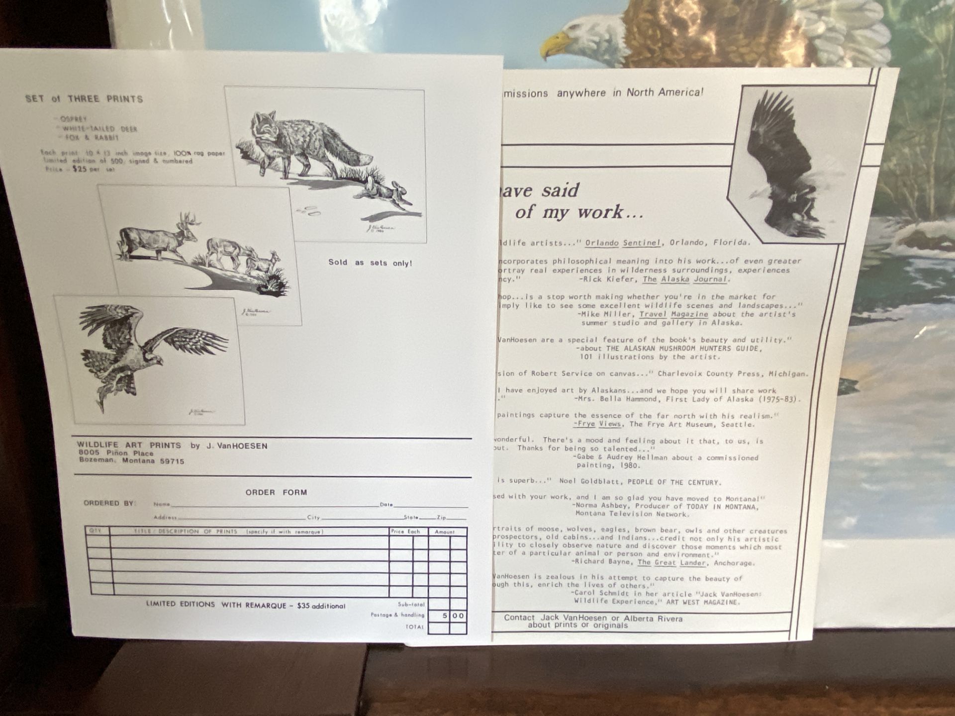 J Van Hoesen Eagle Limited Print, Number 471/950, 1981, Art with Paperwork - Bild 3 aus 7