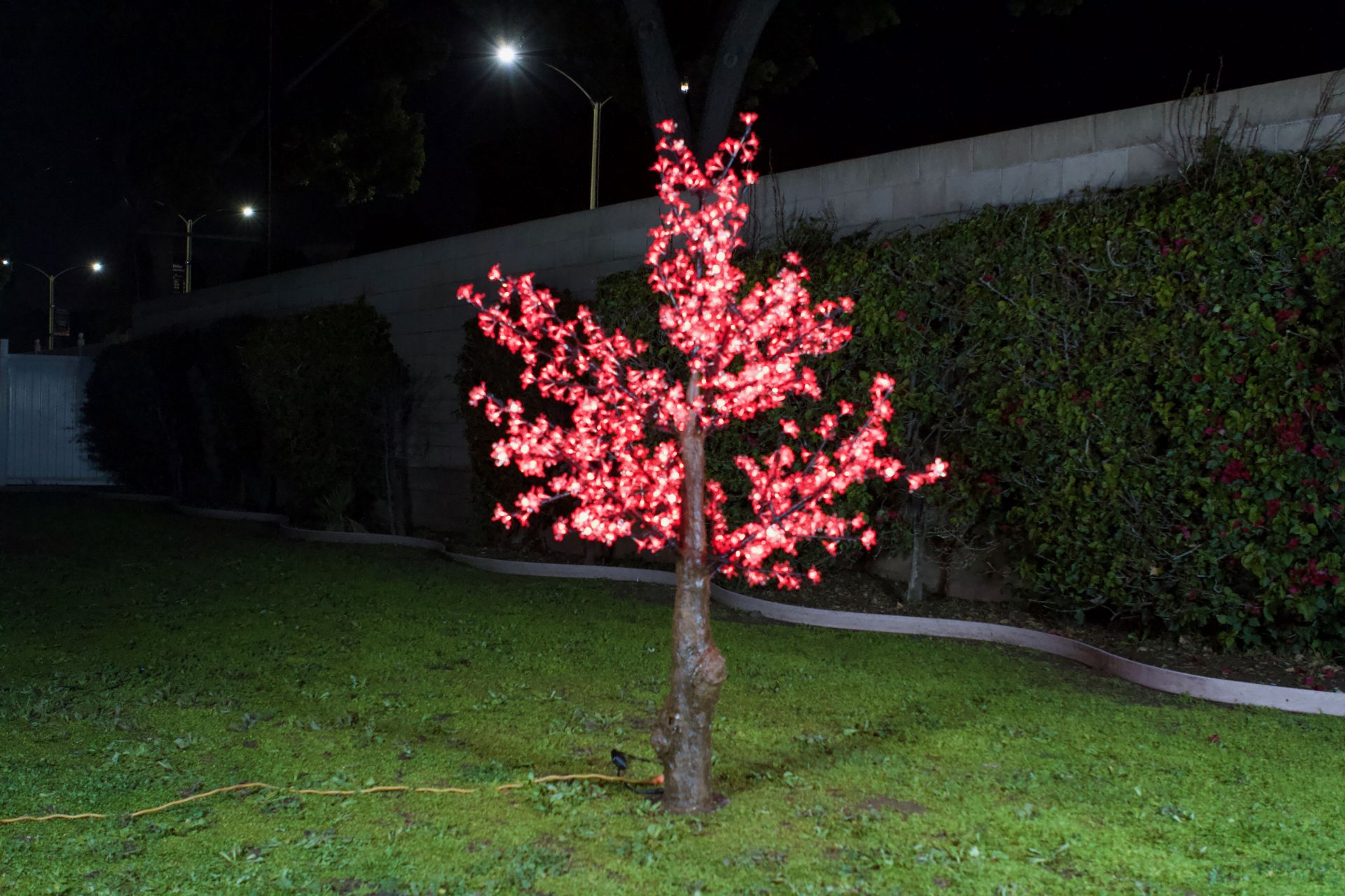 ENTIRE BUSINESS INVENTORY - 525+ Bright LED Light Artificial Trees. OVER $240,000 RETAIL VALUE - Bild 9 aus 12