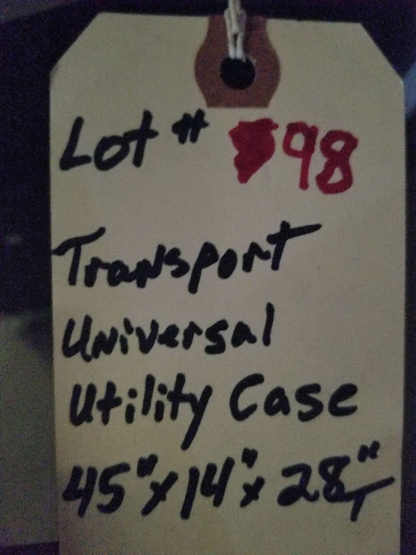 Transport Universal Utility Case 45"x14"x28" - Image 4 of 4