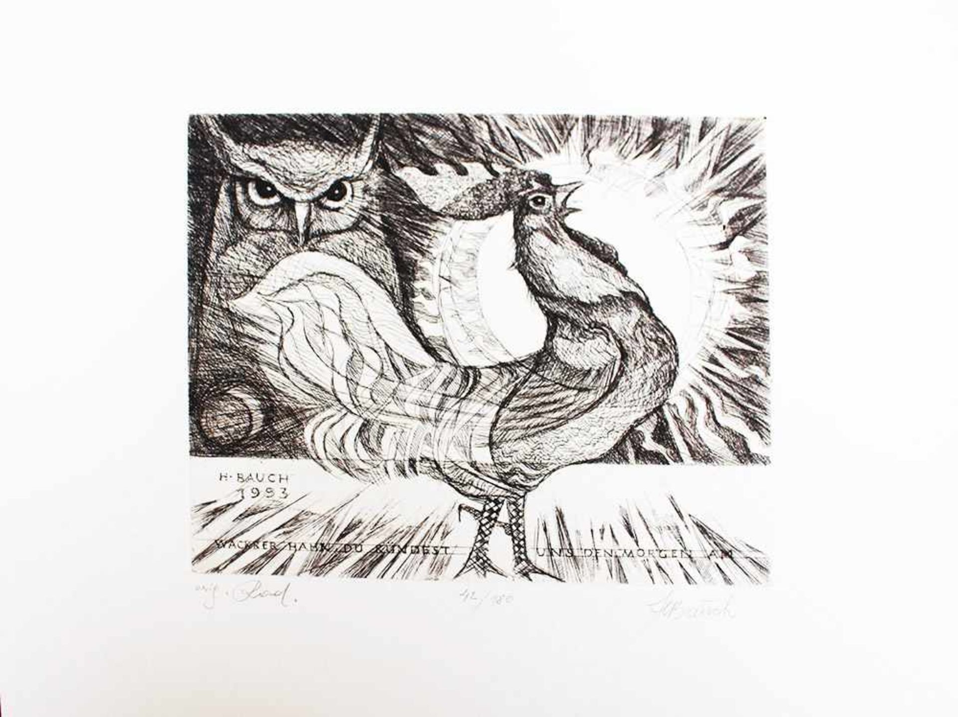 Hermann Bauch (born 1929), Peacock, etching on paper.33 x 43 cmDieses Los wird in einer online-