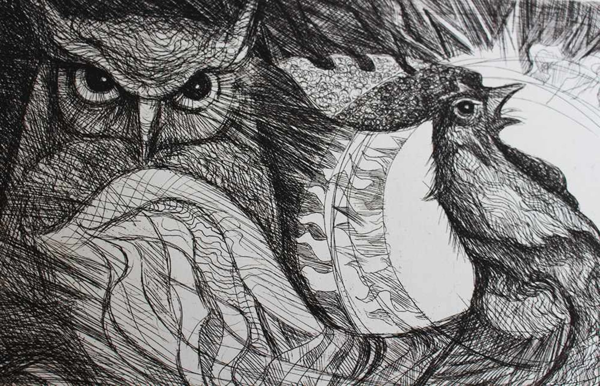 Hermann Bauch (born 1929), Peacock, etching on paper.33 x 43 cmDieses Los wird in einer online- - Bild 2 aus 3