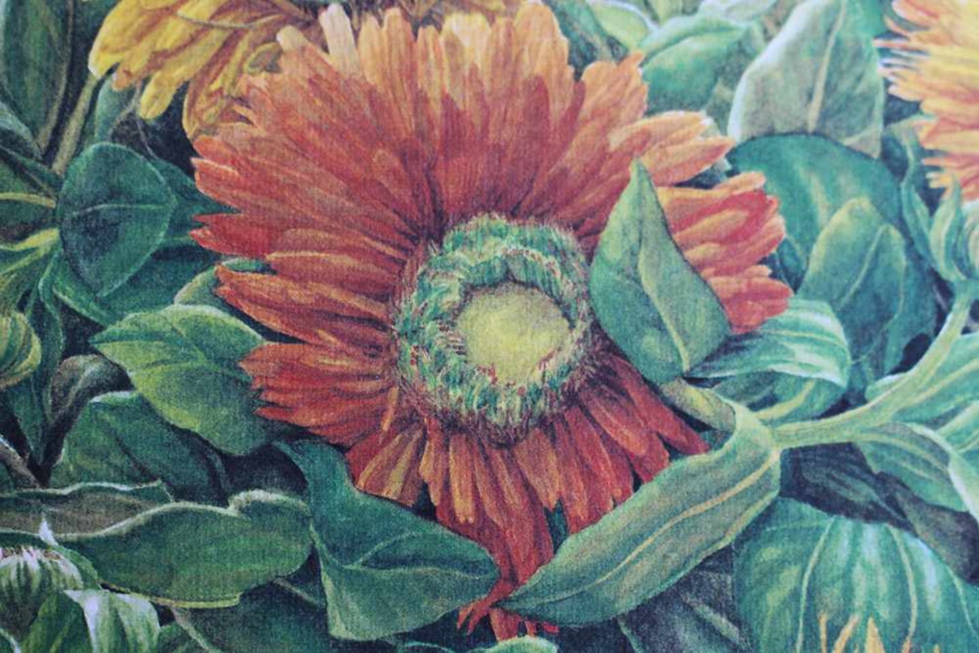 Judith Schimany (1955 born), Flowers, colour lithograph on paper.50 x 70 cmDieses Los wird in - Bild 2 aus 3