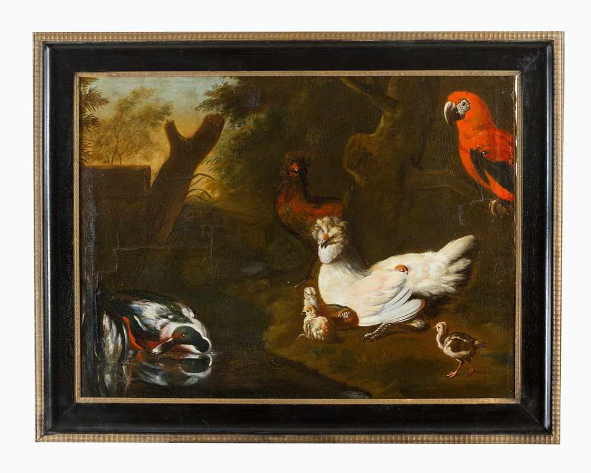 Tobias Stranover (1684-1756)-attributed, Birds in landscape, oil on canvas, framed.