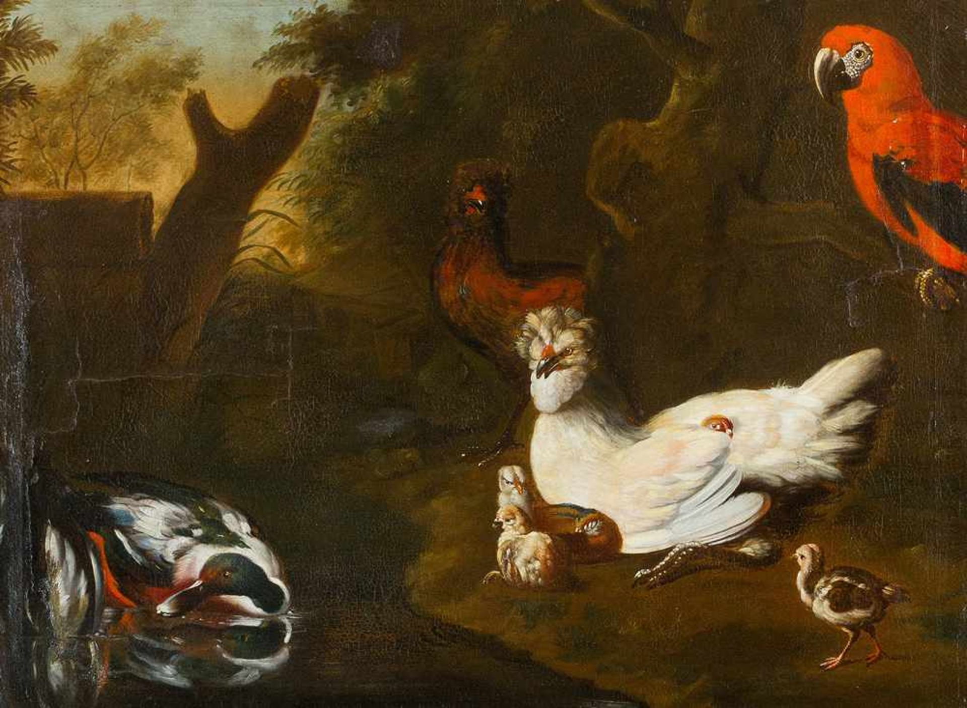 Tobias Stranover (1684-1756)-attributed, Birds in landscape, oil on canvas, framed. - Bild 2 aus 3
