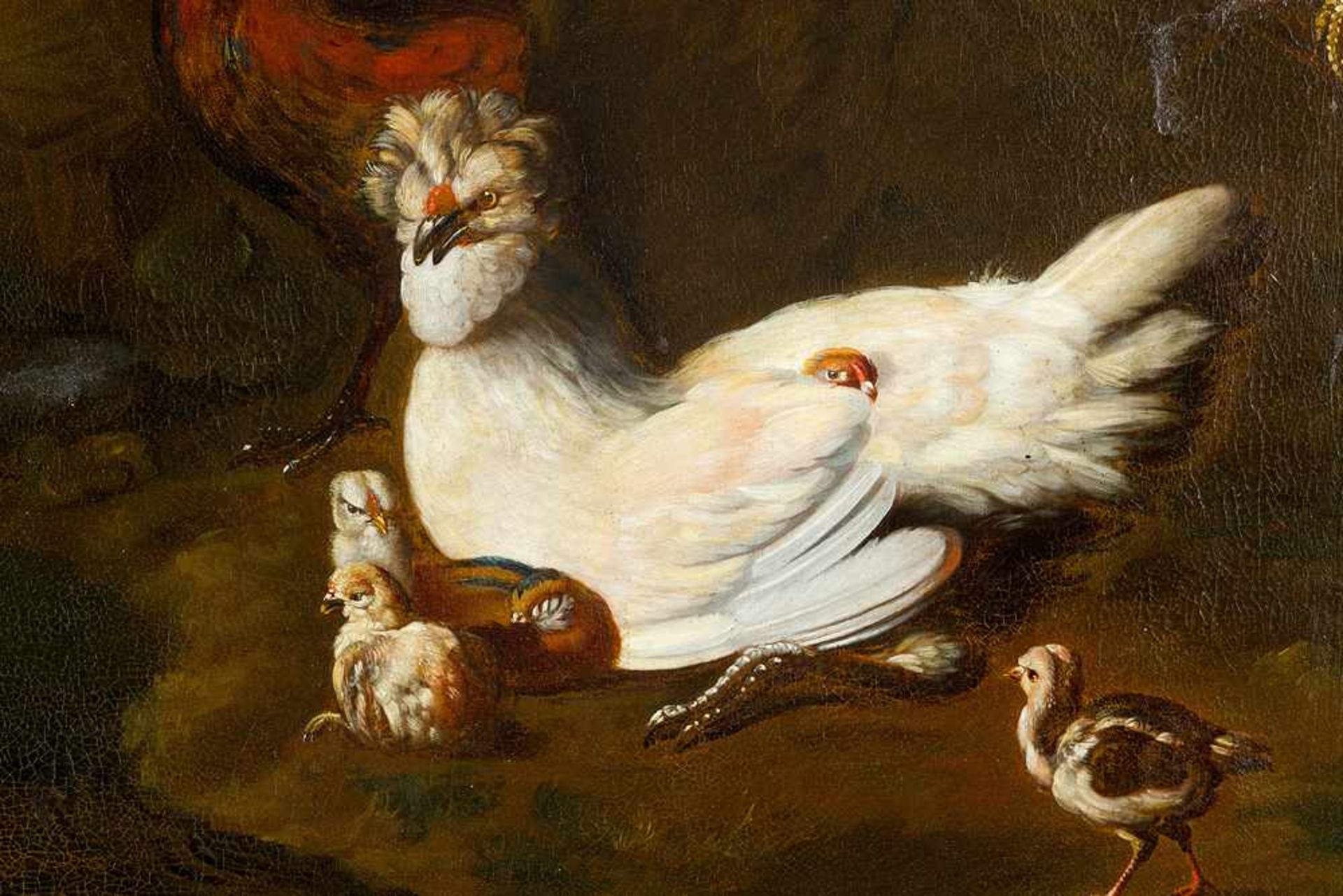 Tobias Stranover (1684-1756)-attributed, Birds in landscape, oil on canvas, framed. - Bild 3 aus 3
