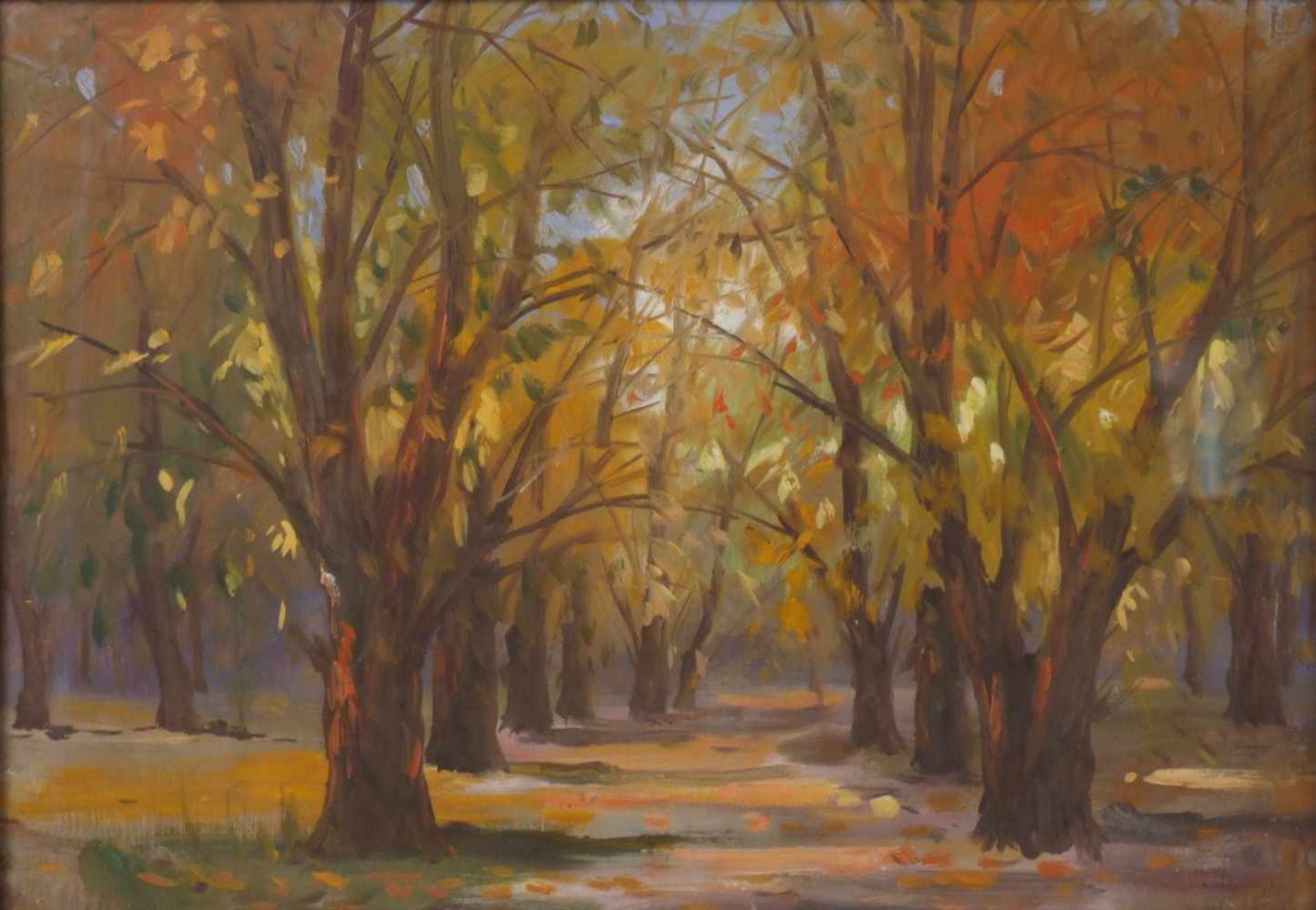 Künstler 20Jh.Herbstbäume, Aquarell, Öl auf Malkarton, signiert, 30,5x44cm, verglast, gerahmt;