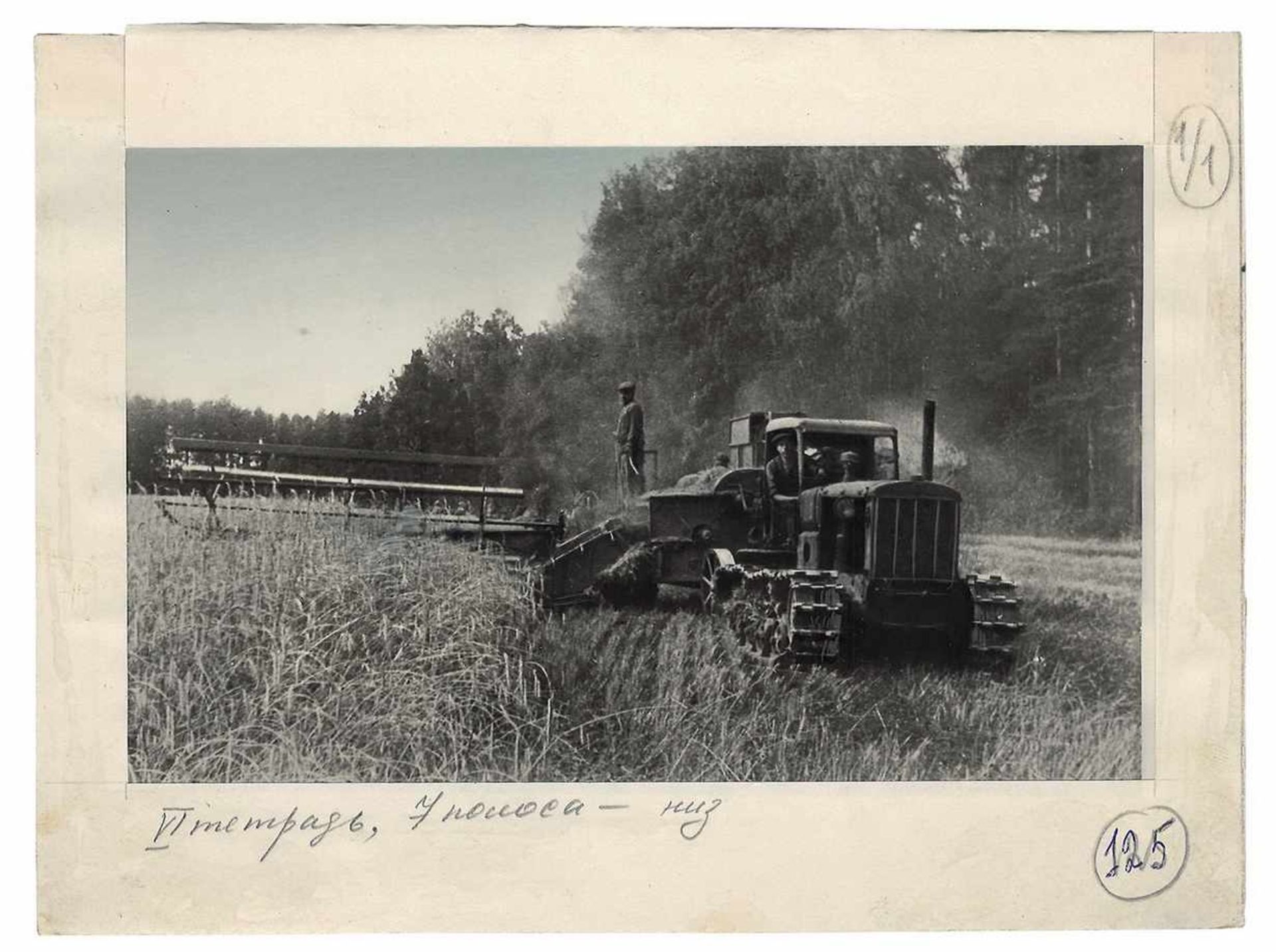 [Soviet]. Photograph &quot;Crop reaping&quot;. 1930s. Original print. - 11x17 cm. - Bild 2 aus 3