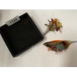 TWO COLOURFUL FEATHER BROOCHES