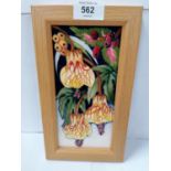 A MOORCROFT LIMITED EDITION (30/40) ABUTILON PATTERN PLAQUE IN LIGHT OAK FRAME