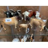 A COLLECTION OF BESWICK JERSEY CATTLE CERAMIC MODELS TO INCLUDE BULL, COW AND CALF