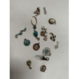 A COLLECTION OF SIXTEEN PENDANTS/ NECKLACE FOBS