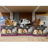 THREE BOXED 'MUG TAILS' DOG DESIGN CERAMIC MUGS