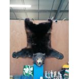 A LARGE TAXIDERMY BEAR RUG