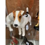 A ROYAL DOULTON HN 1007 ROUGH HAIRED TERRIER