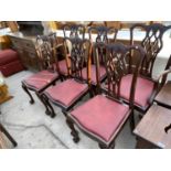 SIX CHIPPENDALE STYLE CARVED MAHOGANY DINING CHAIRS