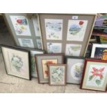VARIOUS FRAMED PICTURES AND PAINTINGS TO INCLUDE FLOWER DESIGNS