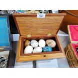 A WOODEN BOX OF AGATE AND FURTHER EGG STONES