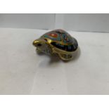 A ROYAL CROWN DERBY TURTLE PAPER WEIGHT WITH GOLD STOPPER