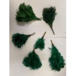 A COLLECTION OF GREEN FEATHER SLIDES