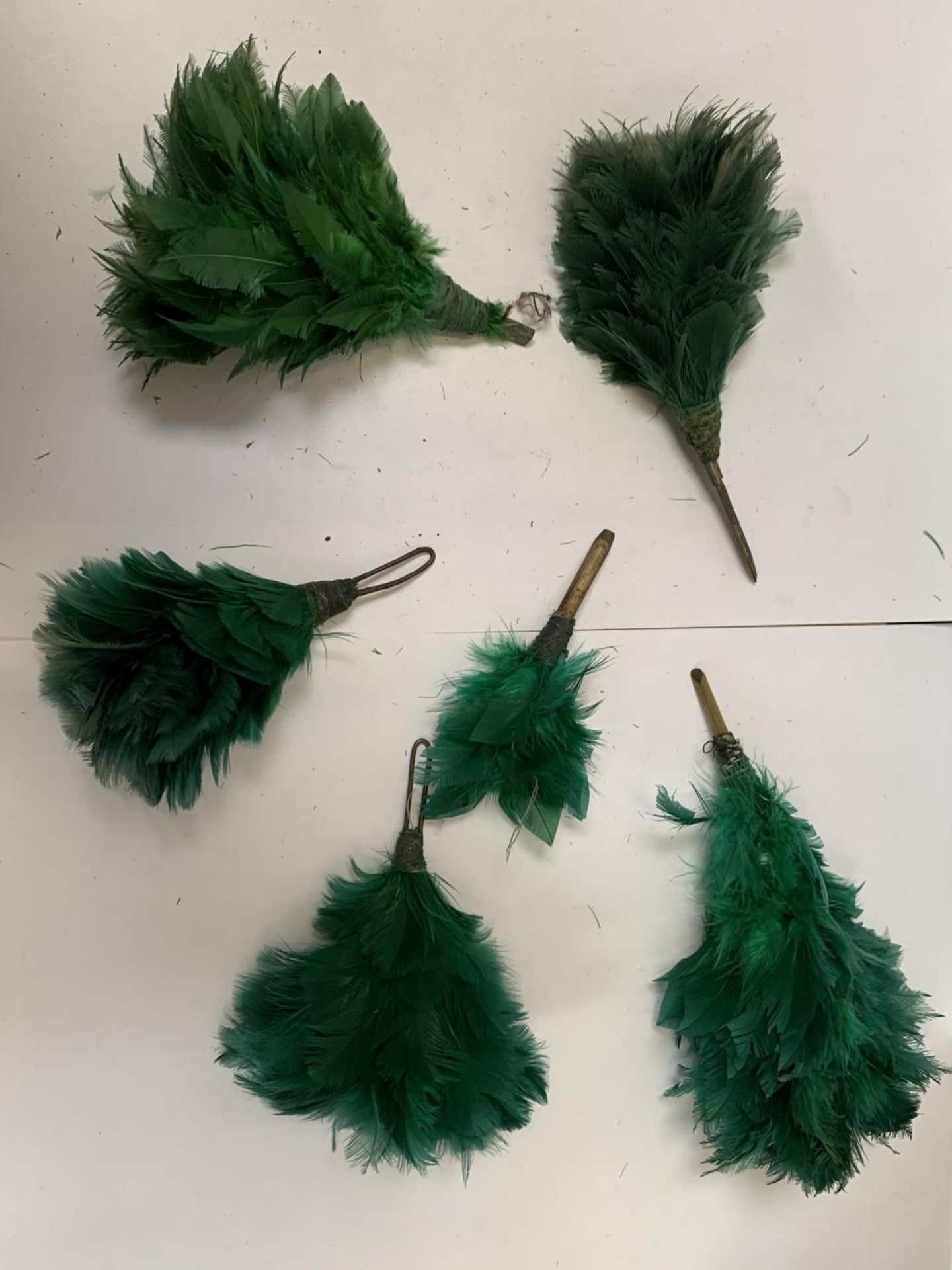 A COLLECTION OF GREEN FEATHER SLIDES