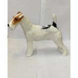 A ROYAL DOULTON HN 1007 ROUGH HAIRED TERRIER