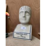 A PHRENOLOGY HEAD MODEL