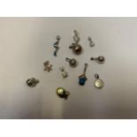 A COLLECTION OF TWELVE NECKLACE FOBS/ CHARMS