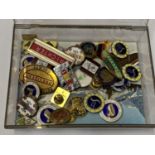 A BOX OF LAPELS BADGES TO INCLUDE HORSE SHOW ETC