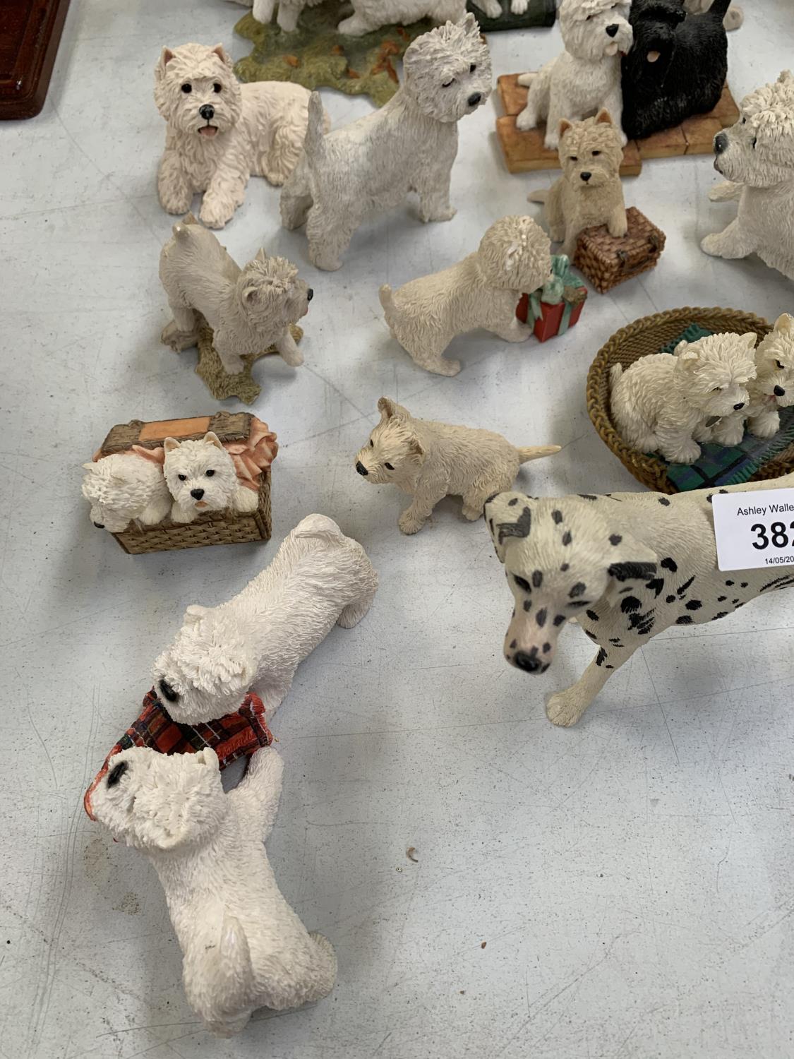 A LARGE QUANTITY OF CERAMIC WHITE WEST HIGHLAND TERRIERS AND SCOTTIE DOGS OF VARIOUS SIZES AND A - Image 3 of 10