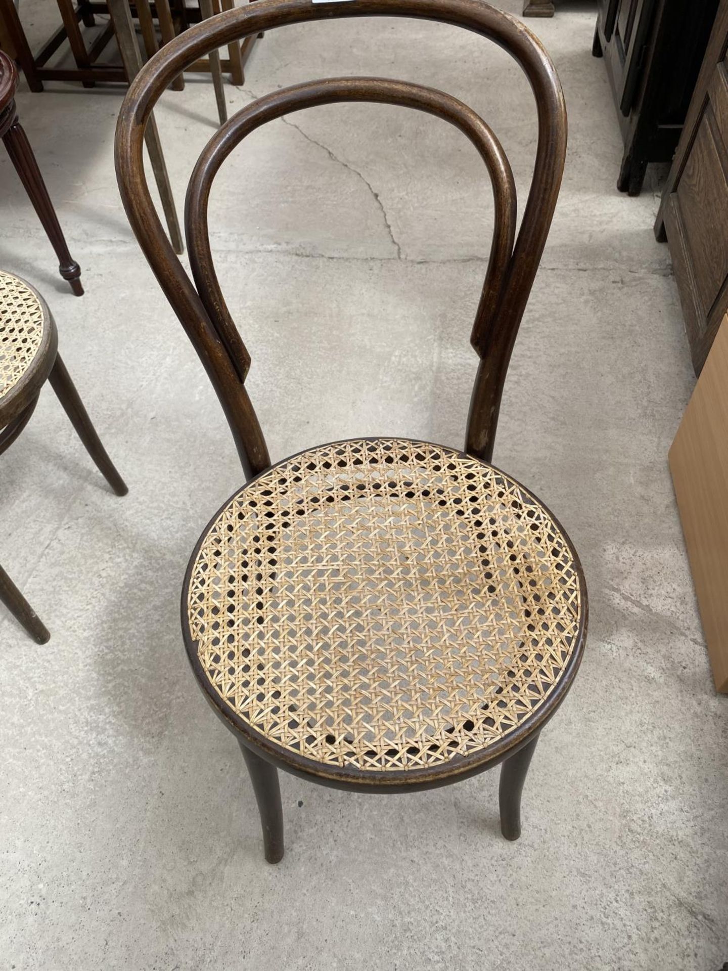 FOUR BENTWOOD DINING CHAIRS - Image 2 of 4