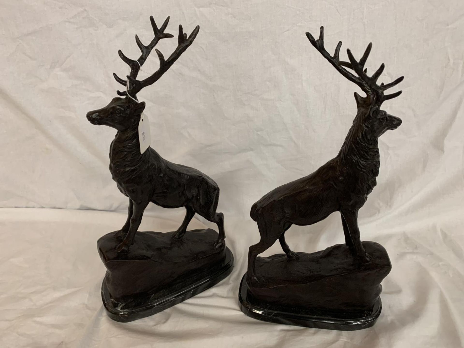 A PAIR OF IMPRESSIVE BRONZE STAGS ON MARBLE BASES - Image 4 of 4