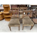 FOUR OAK DINING CHAIRS