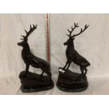 A PAIR OF IMPRESSIVE BRONZE STAGS ON MARBLE BASES APPROXIMATELY 42CM HIGH