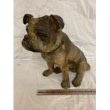 AN AUSTRIAN PAINTED TERRACOTTA MODEL OF A FRENCH BULLDOG