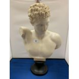 A VINTAGE RECONSITUTED ITALIAN MARBLE BUST