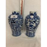 A PAIR OF BLUE AND WHITE PAINTED CHINESE VASES