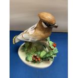 A CROWN STAFFORDSHIRE AW CEDAR WAXWING LINLEY ADAMS