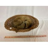 A TAXIDERMY FOX IN BASKET