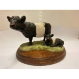 A BORDER FINE ARTS BELTED GALLOWAY COW AND CALF ON WOODEN PLINTH