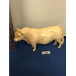 A BESWICK CHAROLAIS BULL FIGURE, BOXED