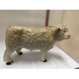 A LARGE BUTCHER'S SHOP CERAMIC CHAROLAIS BULL