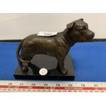 A SMALL BRONZE TERRIER/BULLDOG FIGURE ON A SOLID MARBLE BASE 13CM X 14CM