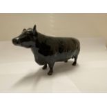 A BESWICK ABERDEEN ANGUS COW