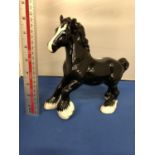 BESWICK COLLECTORS CLUB CANTERING SHIRE BLACK HORSE, 21 CM, BCC1996