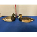 TWO ROYAL DOULTON DUCK FIGURES BY LES WARD GREATER SCAUP MALE AND FEMALE