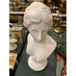 A CLASSICAL BUST OF A LADY